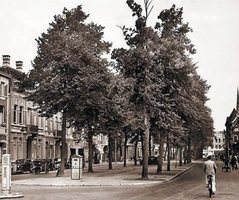 Nieuwe Ginnekenstraat omstreeks 1951